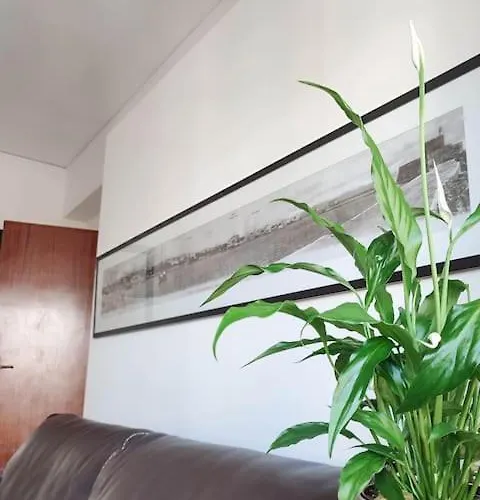 Апартаменты With Homegym, Next To The Main